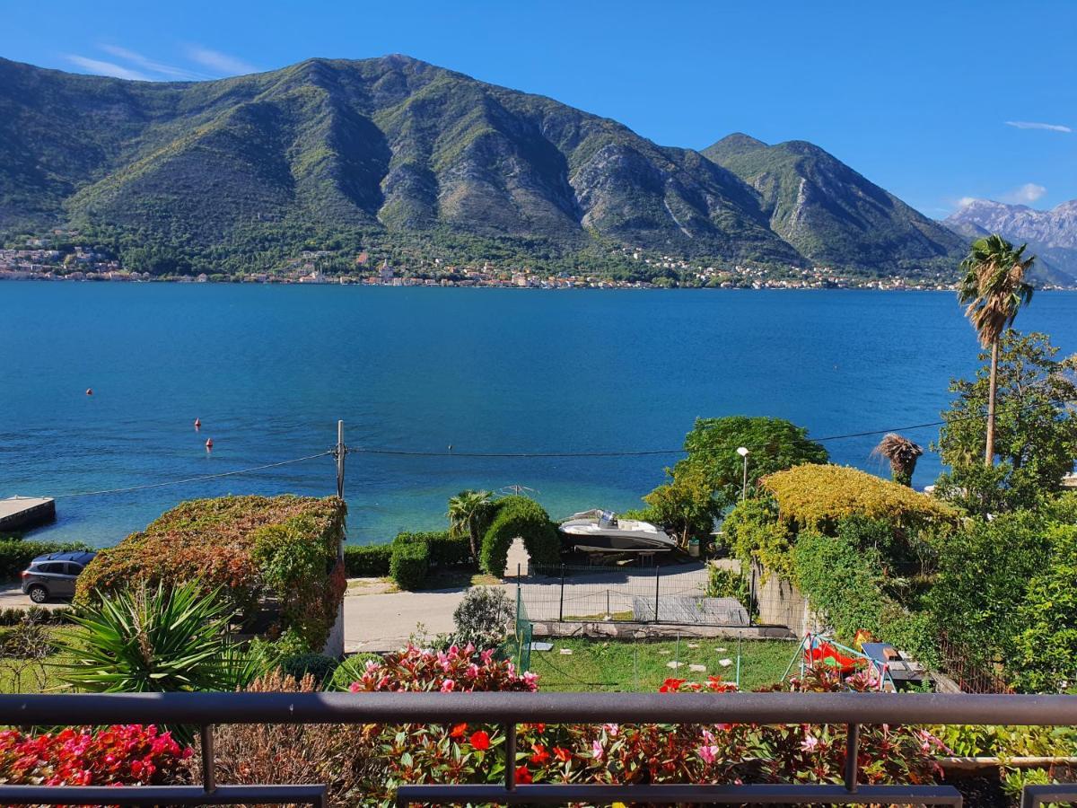 La Grande Apartments Kotor Eksteriør bilde