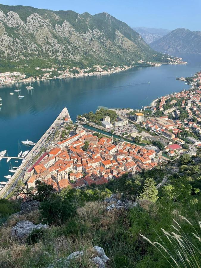 La Grande Apartments Kotor Eksteriør bilde