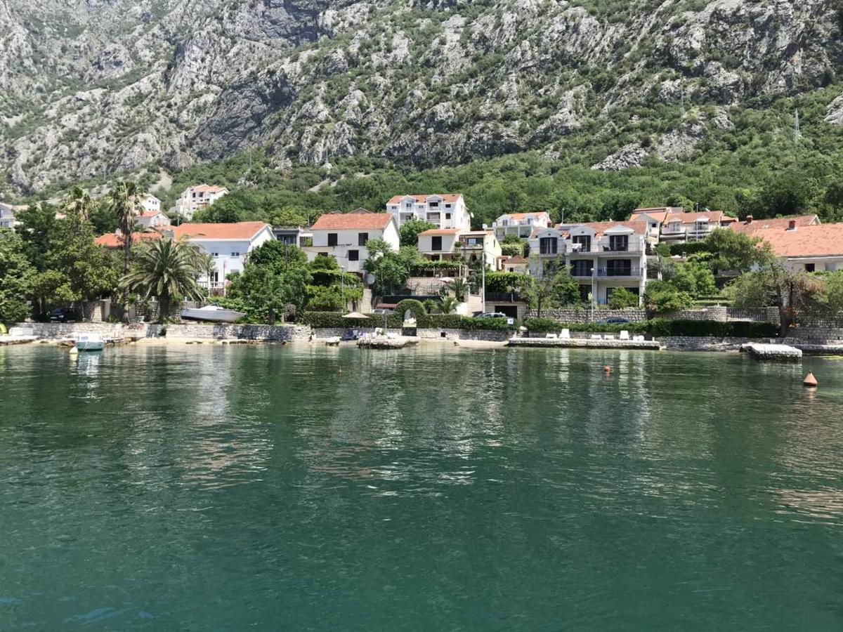 La Grande Apartments Kotor Eksteriør bilde